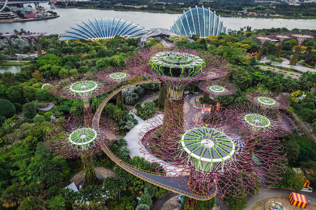 Gardens By the Bay (Super Tree)  1